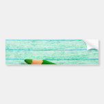 Crayon de couleur verte avec la coloration adhésifs pour voiture