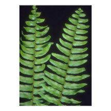 Crêtes jumelles de plante invitations