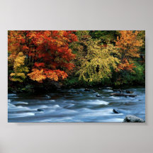 Crique d'automne affiche