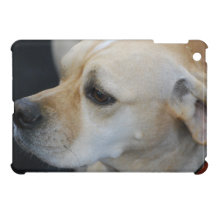 Crique de mini QPC iPad de modèle d'Ipad mini - cu