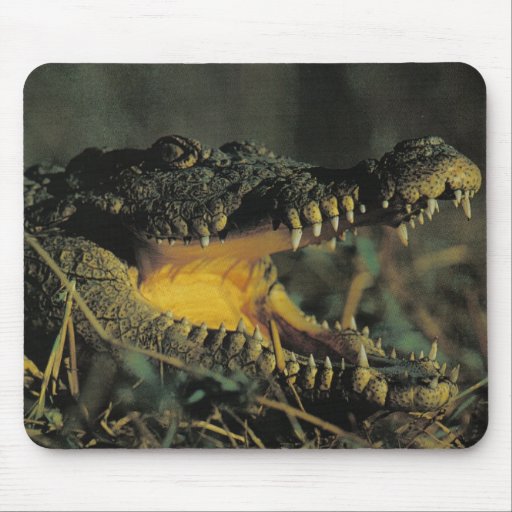Croc affamé tapis de souris