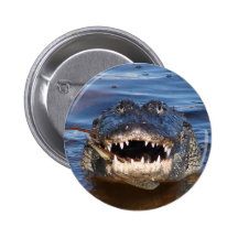 Crocodile de sourire badges avec agrafe