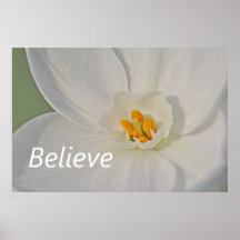 Croyez Affiches