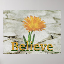 Croyez l'Affiche-Personnaliser grise de floraison 