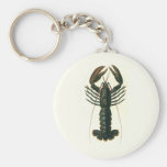 Crustacé marin vintage de la vie d'océan, homard porte-clefs