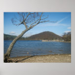 Cumbria Affiche