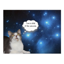 Curieux drôle d'étoile de chat cartes postales