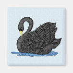 Cygne noir aimant