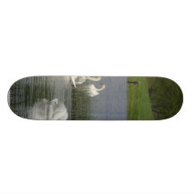 Cygnes animaux plateau de skateboard
