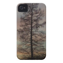 Cypress dans le lever de soleil coques iPhone 4 Case-Mate