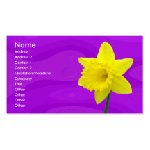 Daffodill Modèles De Cartes De Visite