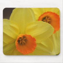 Daffodill Tapis De Souris