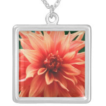 Dahlia Hangertjes