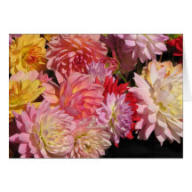 Dahlias Carte De Vœux