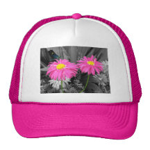 Daisys et Dragonflys Casquette De Camionneur
