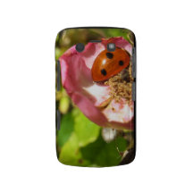 dame insect op een braambessenbloem blackberry bold hoesjes