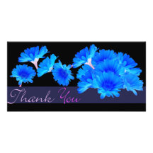 DANK U BLAUWE ASTERS PHOTOCARD FOTO KAART
