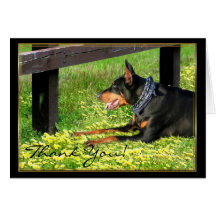 Dank u het wenskaart van Doberman Pinscher