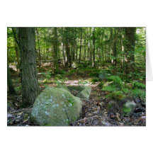 Dans la forêt carte