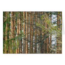 Dans la forêt carte de vœux