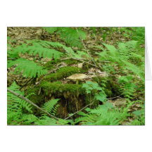 Dans la forêt cartes de vœux