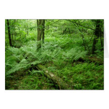 Dans la forêt cartes de vœux