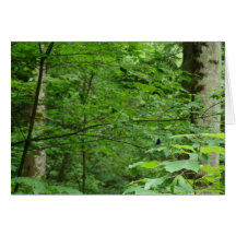 Dans la libellule de ~ de forêt carte