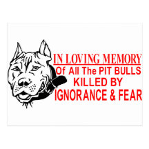 DANS LA MÉMOIRE AFFECTUEUSE DES PITBULLS CARTE POSTALE