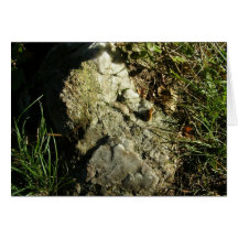 Dans le cristal cru de ~ de forêt carte de vœux