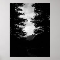 Dans les bois