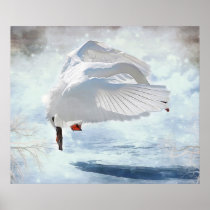 Danse de glace