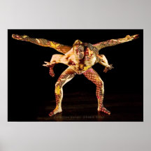 Danser-4553a Plaat