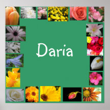 Daria Posters