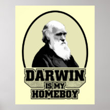 Darwin is Mijn Homeboy Plaat