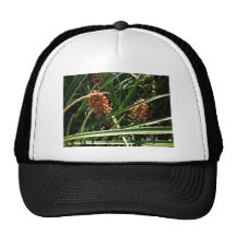 Dates dans les arbustes casquette de camionneur