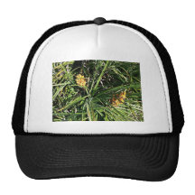 Dates dans les arbustes casquette de camionneur