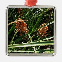 Dates dans les arbustes décorations pour sapins de noël