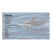Dauphin blanc-dégrossi Pacifique Cartes De Visite Personnelles