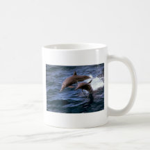 Dauphin de fileur tasse