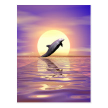 Dauphin de Sun Carte Postale
