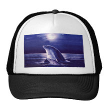 Dauphin et bébé casquette de camionneur
