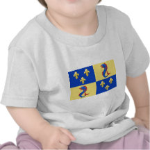 Dauphine drapeau de France, France T-shirt