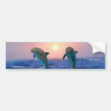 Dauphins au lever de soleil adhésifs pour voiture