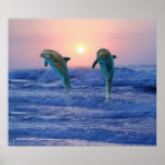 Dauphins au lever de soleil affiches