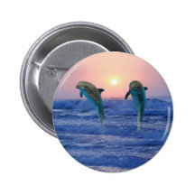 Dauphins au lever de soleil badges
