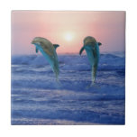 Dauphins au lever de soleil carreau
