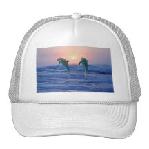 Dauphins au lever de soleil casquette