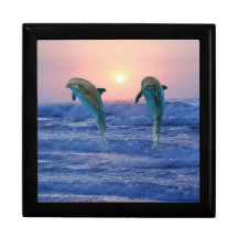 Dauphins au lever de soleil coffret cadeau
