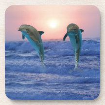 Dauphins au lever de soleil sous-bock