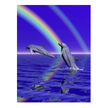 Dauphins et arc-en-ciel cartes postales